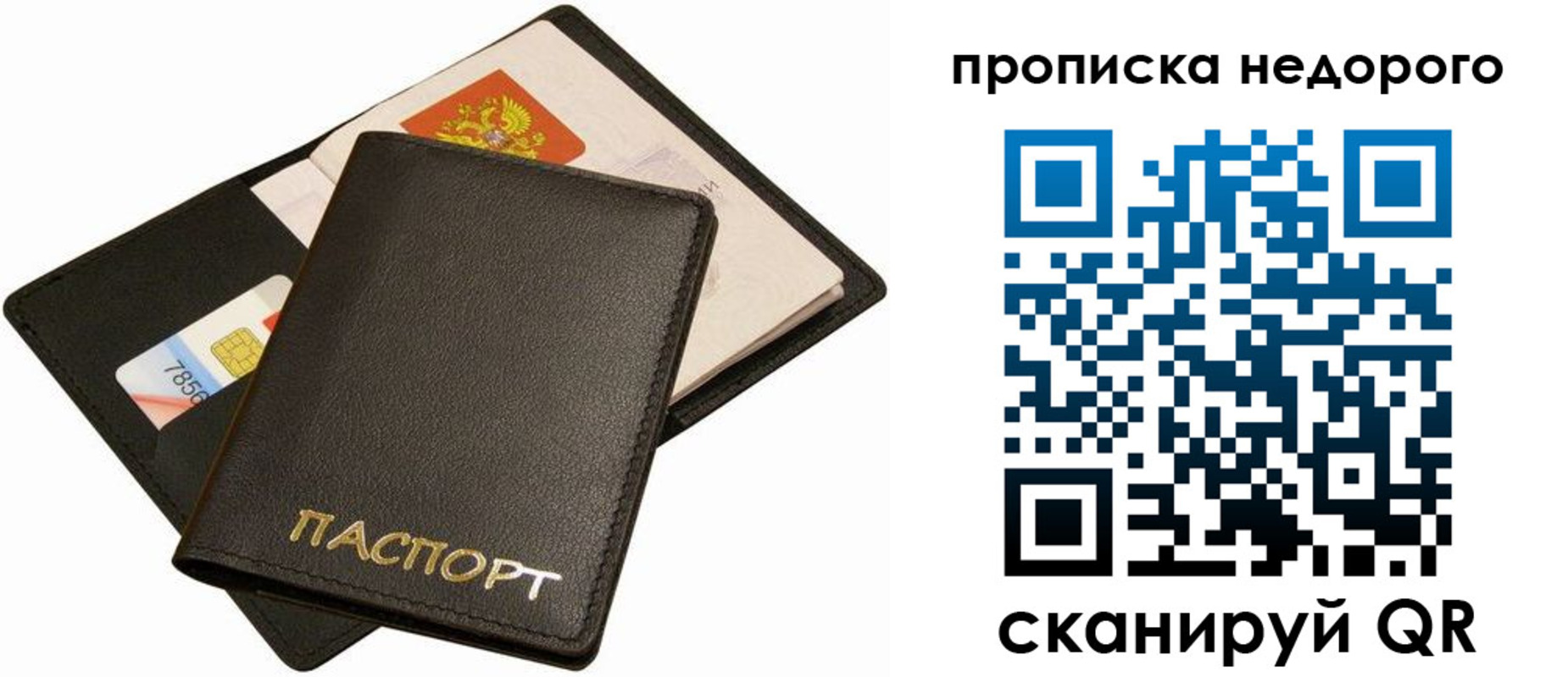 временная регистрация поиск в Челябинской области